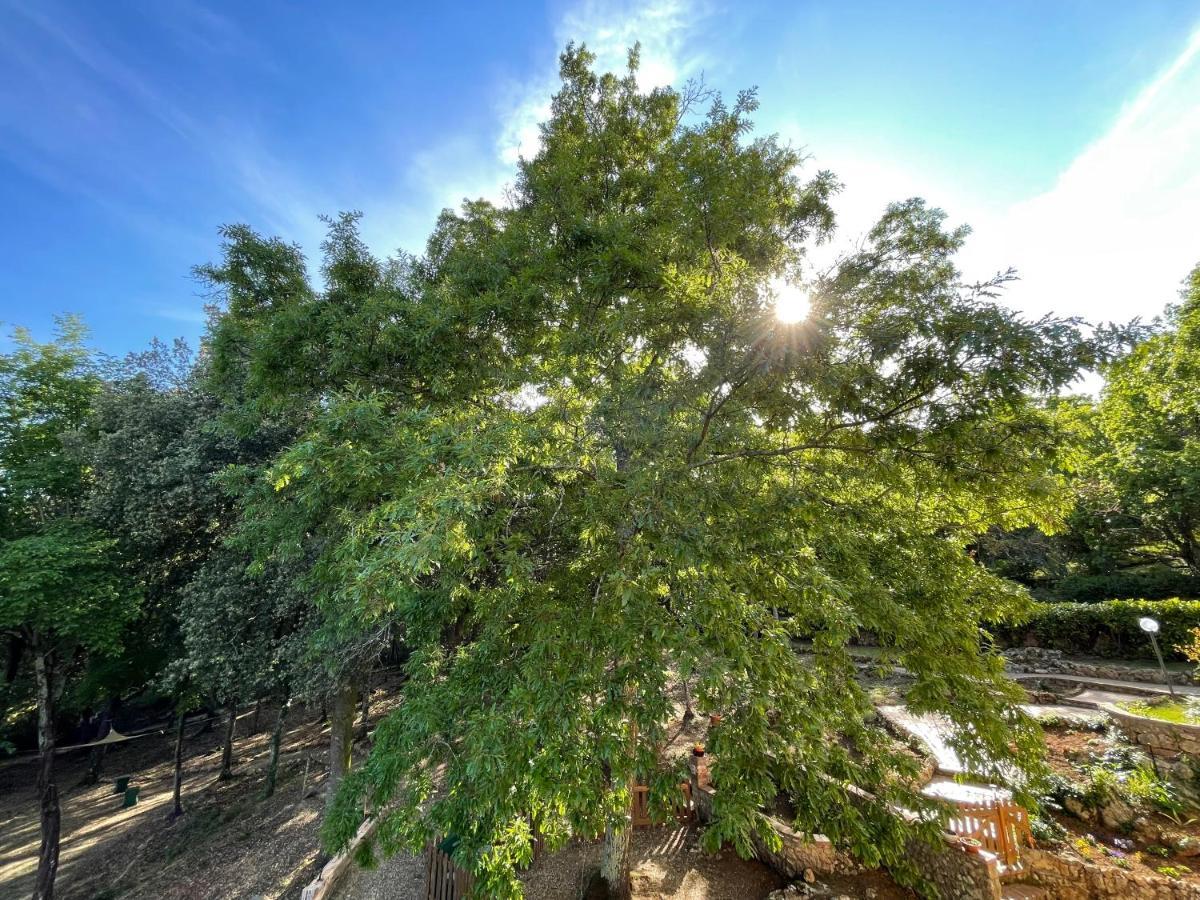 Villa Lilia By Let Siena Exterior photo